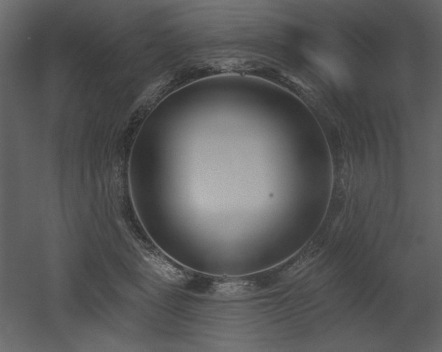 X0000053000461200507081238