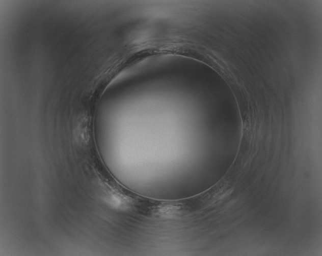 X0000053000462200507081238