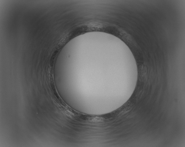 X0000053000463200507081238