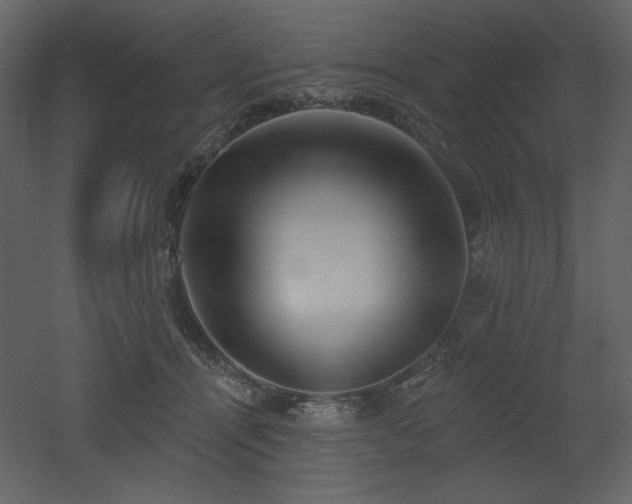 X0000053000464200507081238