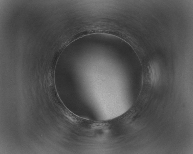 X0000053000465200507081238