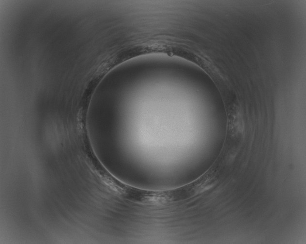 X0000053000466200507081238
