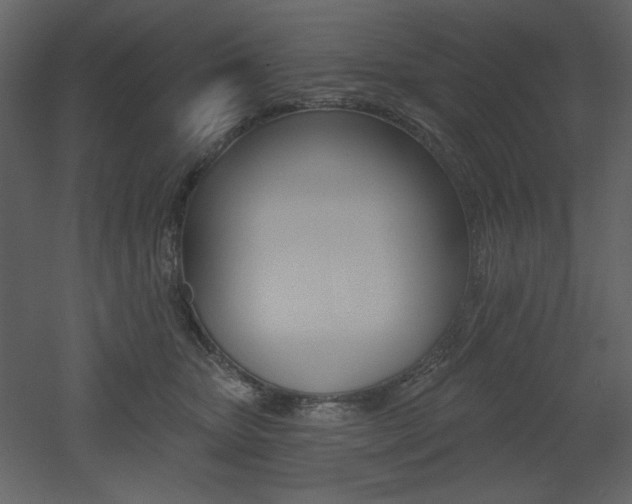 X0000053000467200507081238