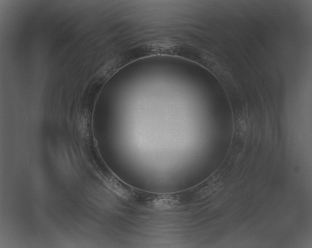X0000053000468200507081238
