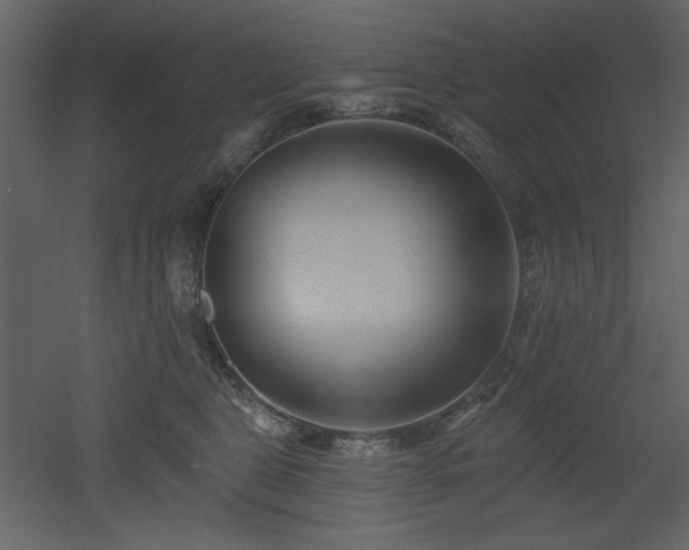 X0000053000469200507081238