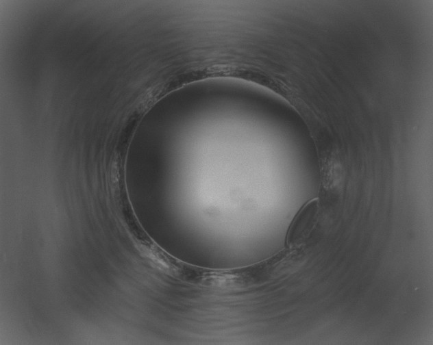X0000053000472200507081238