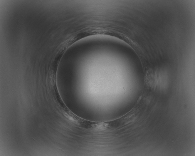 X0000053000474200507081238