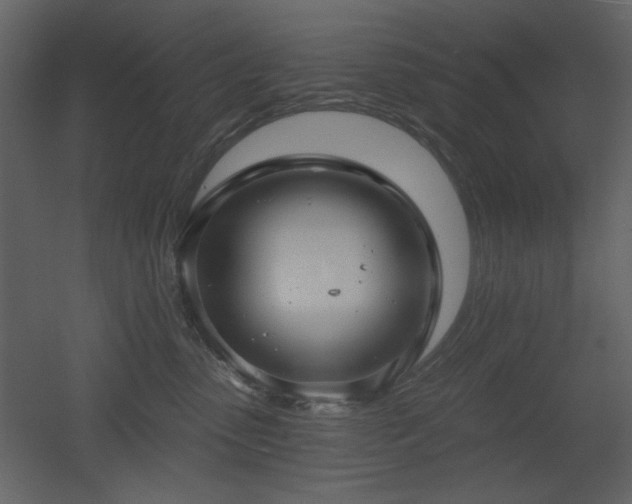 X0000053000475200507081238