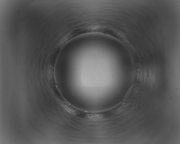 X0000053000476200507081238