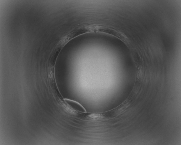 X0000053000477200507081238