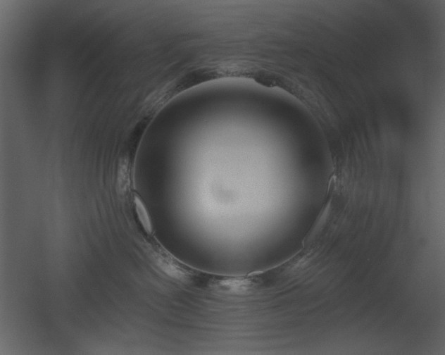 X0000053000478200507081238