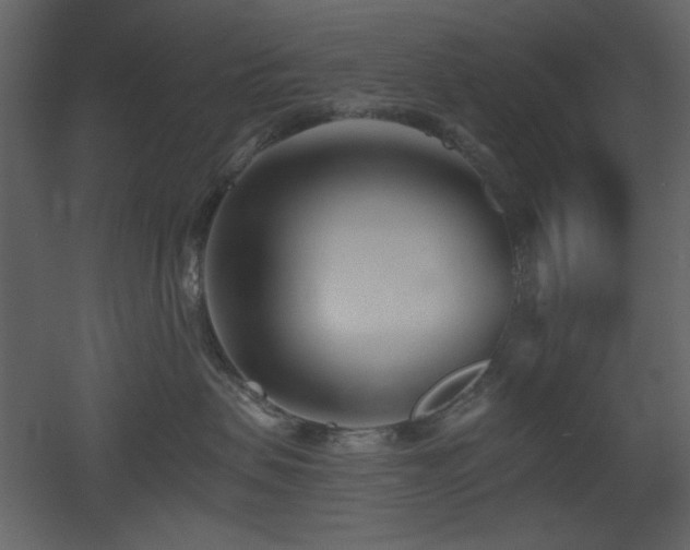 X0000053000479200507081238