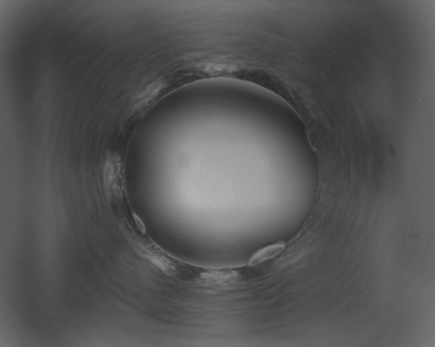 X0000053000480200507081238