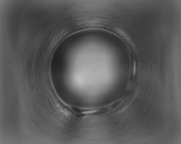X0000053000481200507081237