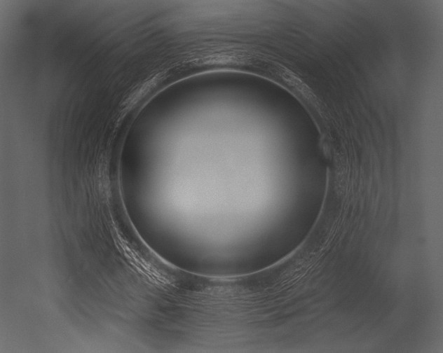 X0000053000482200507081237