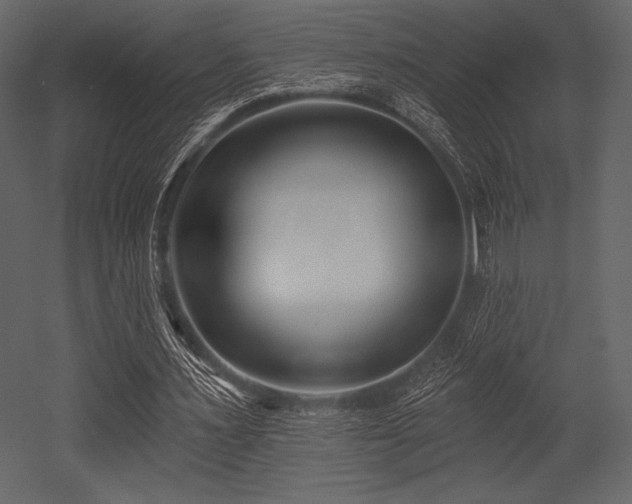 X0000053000483200507081237