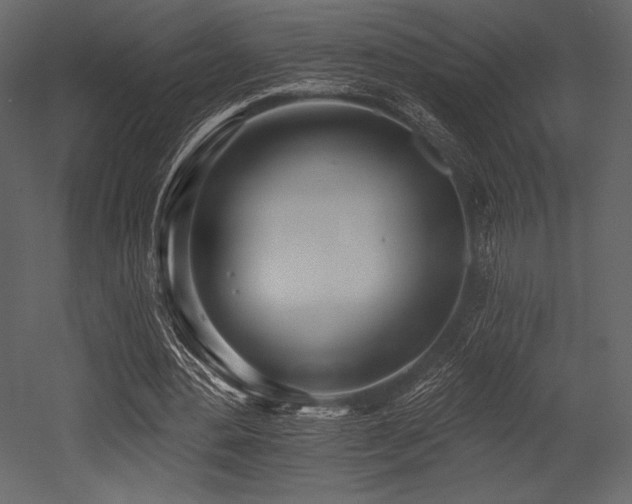X0000053000484200507081237