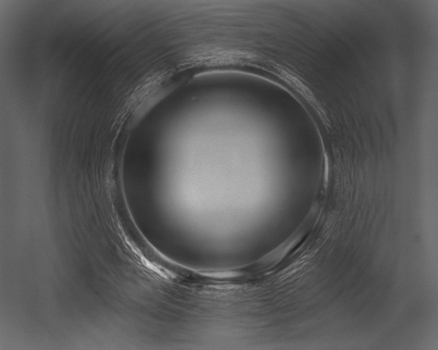 X0000053000485200507081237