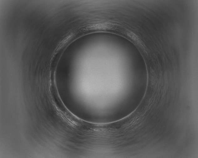 X0000053000486200507081237