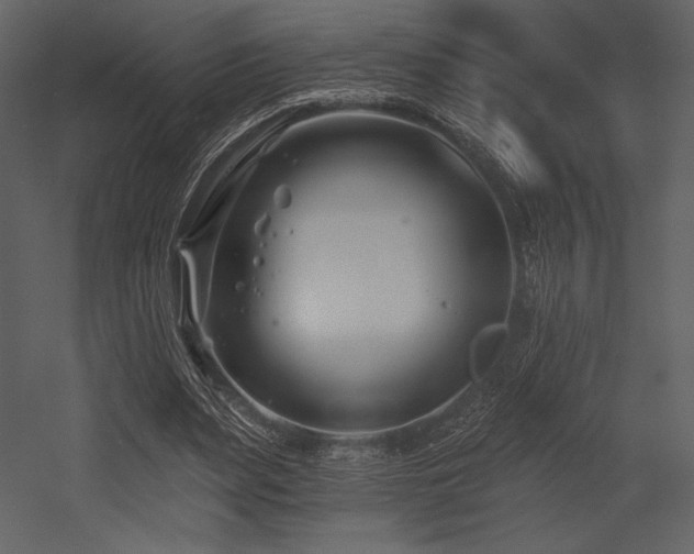X0000053000487200507081237