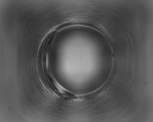 X0000053000488200507081237