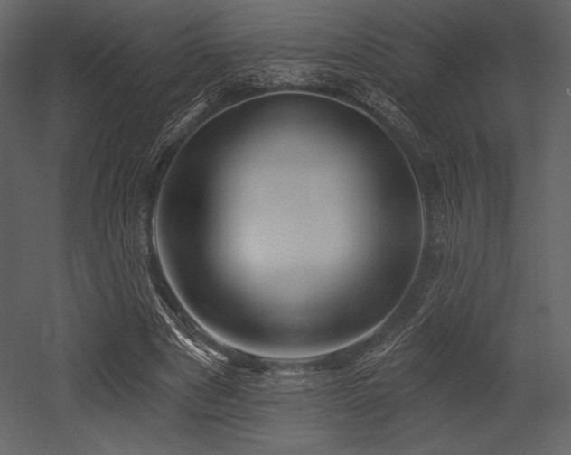 X0000053000489200507081237