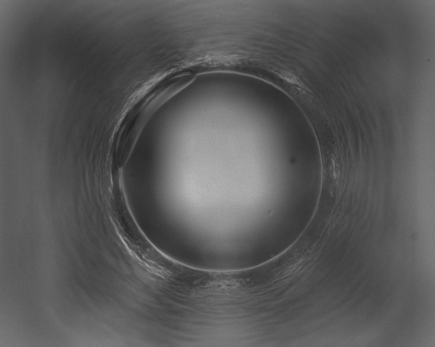 X0000053000492200507081237