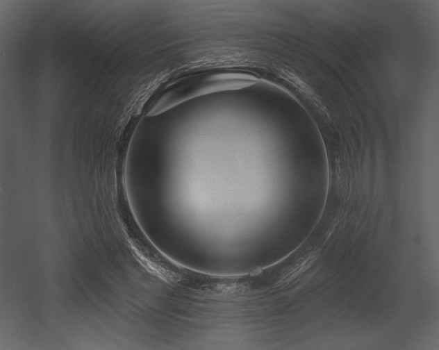 X0000053000493200507081237