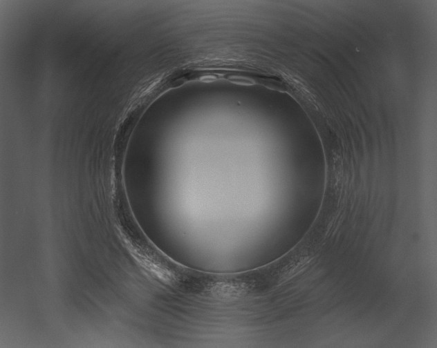 X0000053000494200507081237