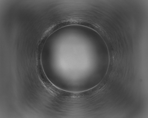 X0000053000496200507081237