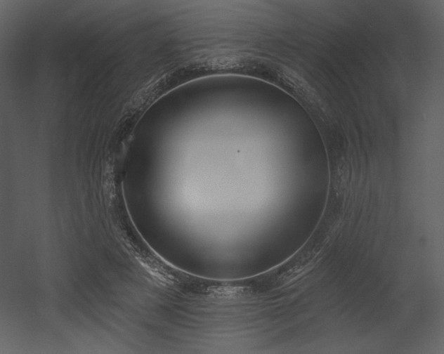 X0000053000497200507081237