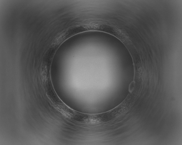 X0000053000498200507081237