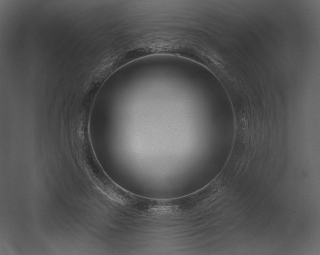 X0000053000499200507081237