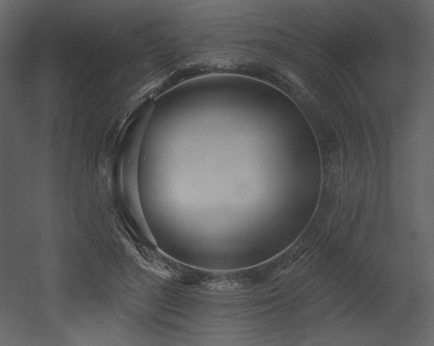 X0000053000500200507081237