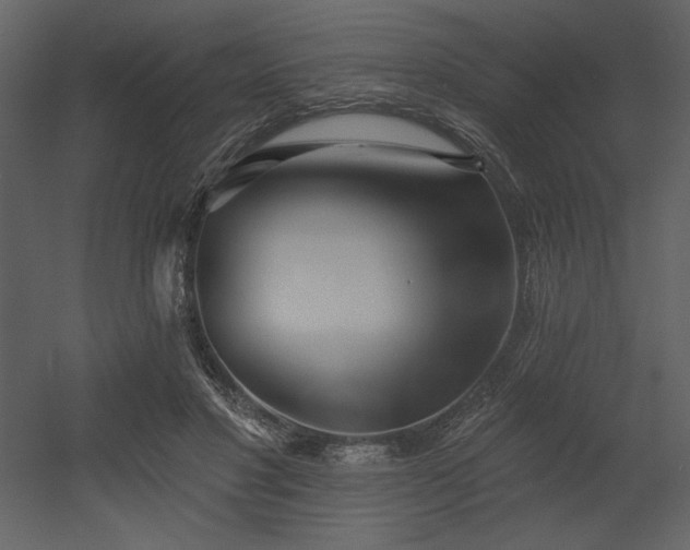 X0000053000501200507081237
