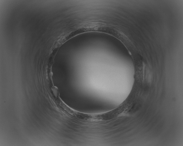 X0000053000504200507081237