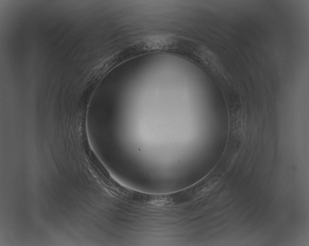 X0000053000505200507081237