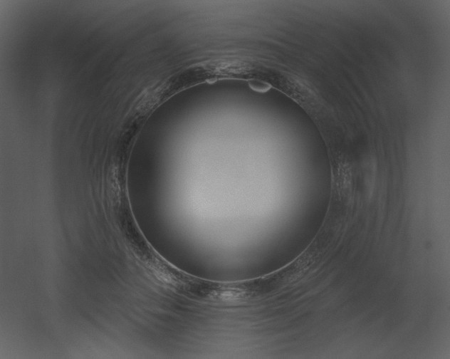 X0000053000506200507081237