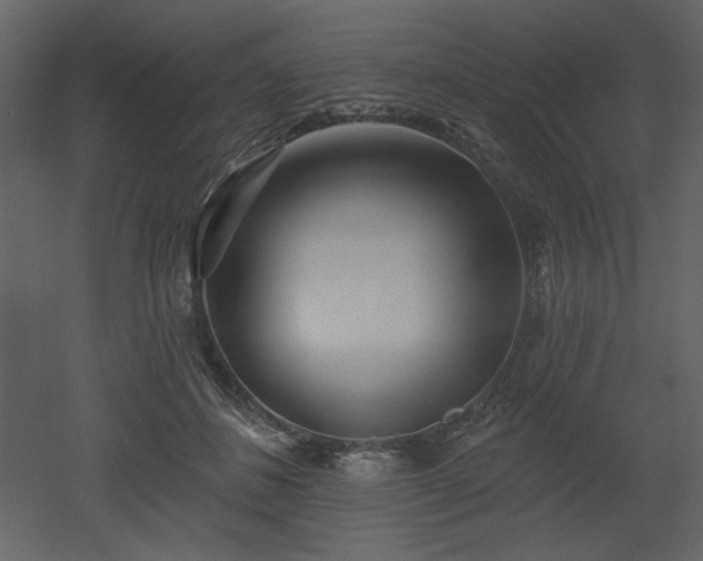 X0000053000508200507081237