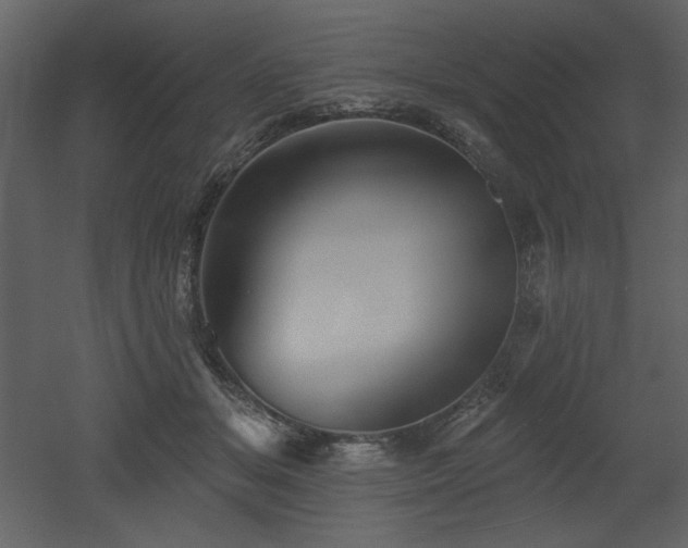 X0000053000509200507081237