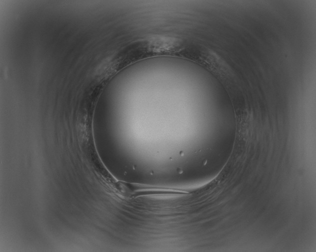 X0000053000510200507081237