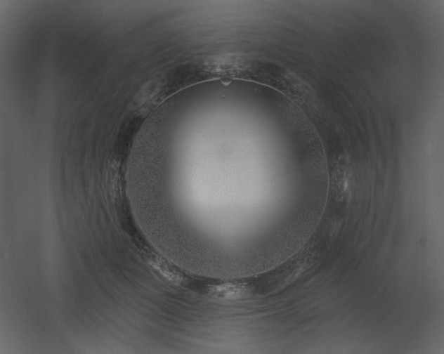 X0000053000511200507081237