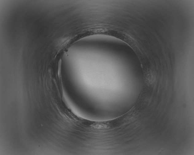 X0000053000512200507081237