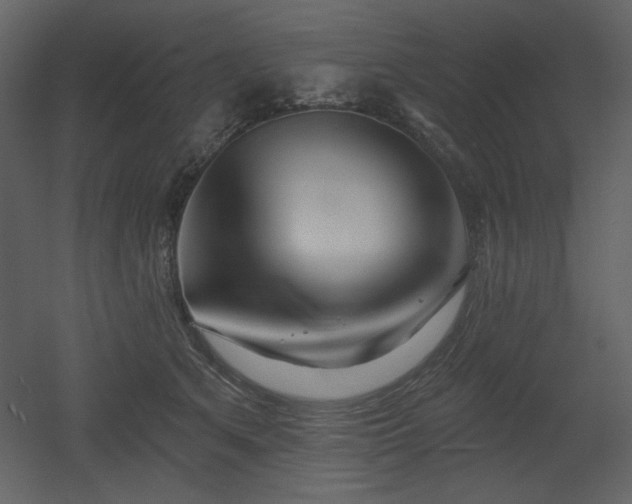 X0000053000513200507081237