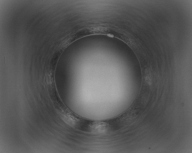 X0000053000514200507081237