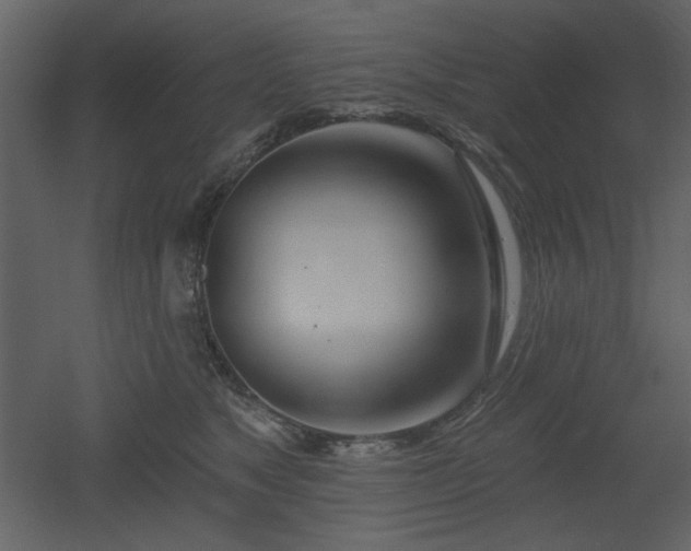 X0000053000517200507081237