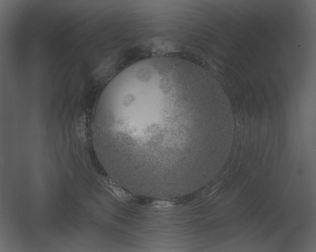 X0000053000519200507081237