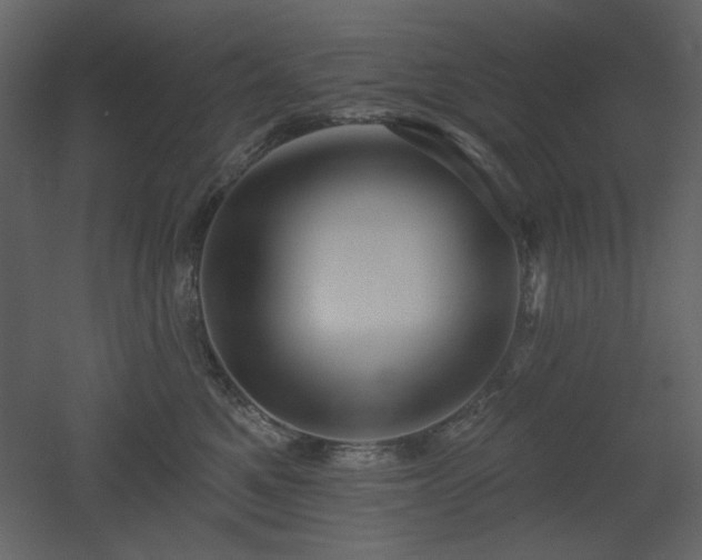 X0000053000521200507081237