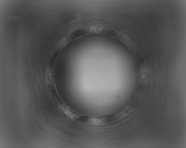 X0000053000522200507081236