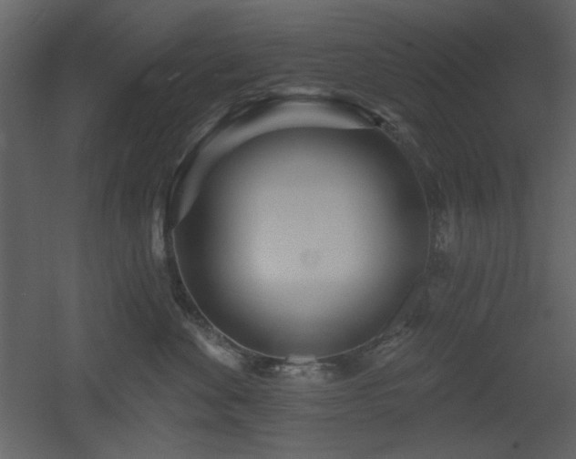 X0000053000524200507081236